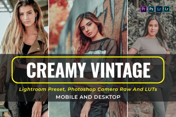 Download 10 Creamy Vintage Presets and Luts - Vintage Collection