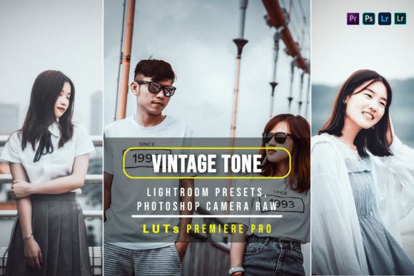 Download 10 Vintage Tone Presets and Luts - Vintage Collection