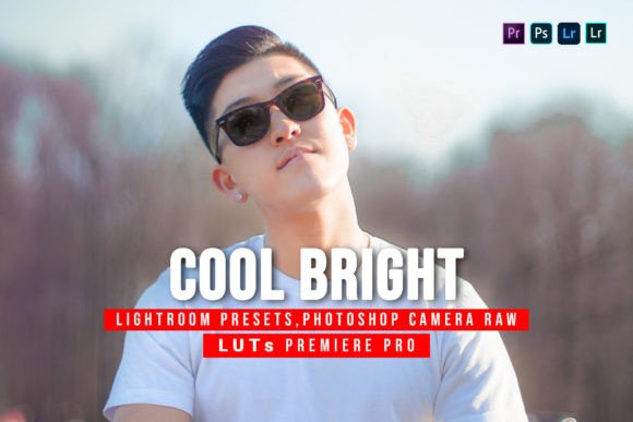 Download 10 Cool Bright Presets and Luts - Bright Collection